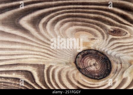 Pine board with a knot and a well-defined structure and texture of wood. Stock Photo