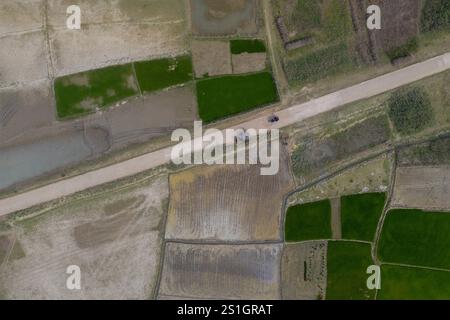 An aerial view shows farmers collecting paddy seedlings from seedbeds at Dingapota Haor in Mohongonj Upazila, Netrokona, during the Iri-Boro cultivati Stock Photo