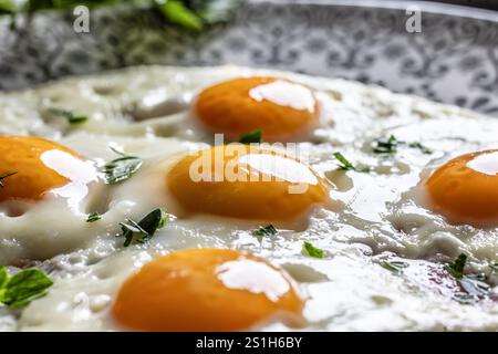 English breakfast on a plate. Ham and eggs sprinkled with parsley. Stock Photo