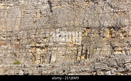 Detailed view of a rugged and textured grey granite rock face. The natural patterns and rough surface of the rock are highlighted. Ourém Portugal Stock Photo