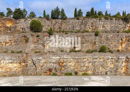 Layered granite wall covered with plants and trees. Gray and yellow tones. Ourém Portugal Stock Photo