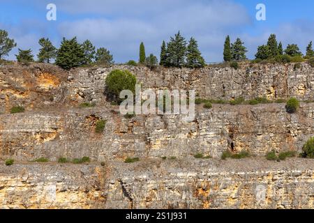 Layered granite wall covered with plants and trees. Gray and yellow tones. Ourém Portugal Stock Photo
