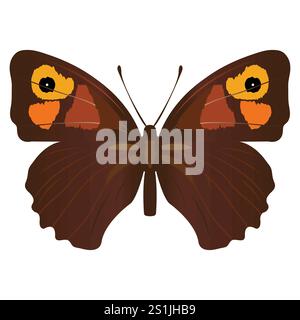 Artistic isolated brown butterfly ; isolated butterfly icon ready to print; Stock Vector