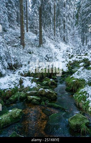 Winter in the Black Forest, Germany Stock Photo
