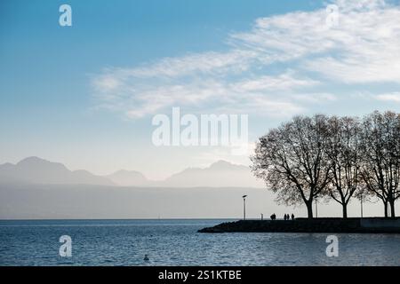 Trees and people silhouettes over Lake Geneva, Lausanne, and Alps in the background on a clear, blue sky day Stock Photo