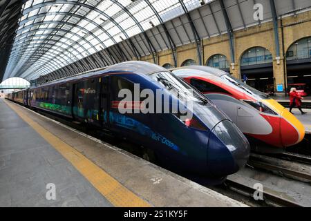 Hull Trains 802302 Paragon train, Jean Bishop ( The Bee Lady), East Coast Main Line Railway; Kings cross station, London, England Stock Photo