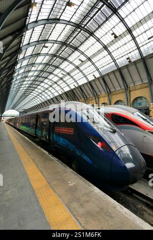 Hull Trains 802302 Paragon train, Jean Bishop ( The Bee Lady), East Coast Main Line Railway; Kings cross station, London, England Stock Photo