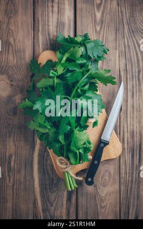 Fresh celery leaves and stalks on rustic background.healthy eating. Fresh green organic celery. Fresh leaf celery. BIO vegetables. Herbs and spices. A Stock Photo