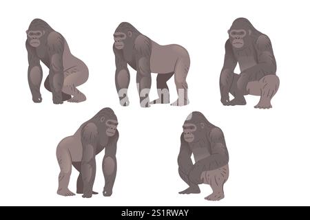 Stocky adult grey gorilla. Wild monkey or ape. Cartoon animal design. Vector illustration isolated on white background. Stock Vector