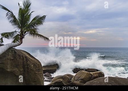 Wild beach, surf on the coast facing the Indian Ocean. Palm trees and high waves at sunset. Patong, Kathu, Phuket Island, Thailand, Asia Stock Photo