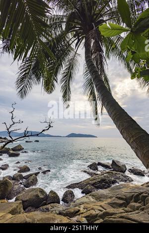 Wild beach with surf on the coast facing the Indian Ocean. Palm trees and high waves at sunset. Patong, Kathu, Phuket Island, Thailand, Asia Stock Photo