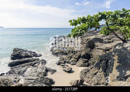 Secluded beach with palm trees and rocks on the coast facing the Indian Ocean. Patong, Kathu, Phuket Island, Thailand, Asia Stock Photo