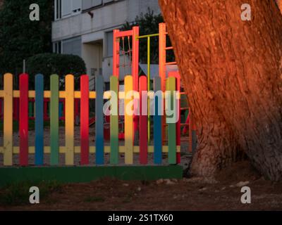 Pine tree illuminated at sunset. Tree trunk. Multicolored painted wooden boards on the fence around the playground are illuminated by the rays of the Stock Photo