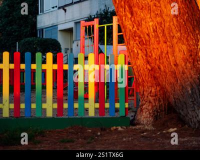 Pine tree illuminated at sunset. Tree trunk. Multicolored painted wooden boards on the fence around the playground are illuminated by the rays of the Stock Photo