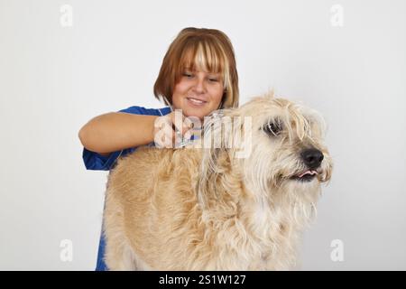 Young veterinarian with a dog on a light background Stock Photo