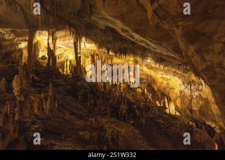 Warm colored lights illuminating majestic stalactites and stalagmites inside the caves of drach in mallorca, spain Stock Photo