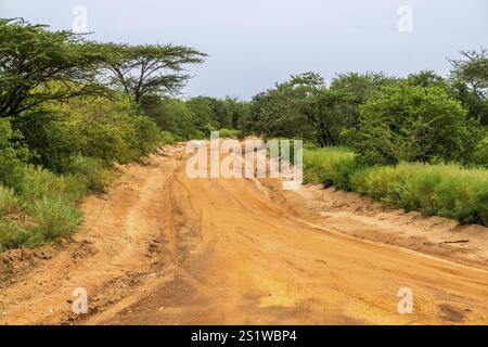 Beautiful landscape with trees and road in Kenya in Africa Stock Photo