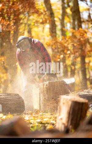 Man with chainsaw cutting up a tree in autumn vertical Stock Photo