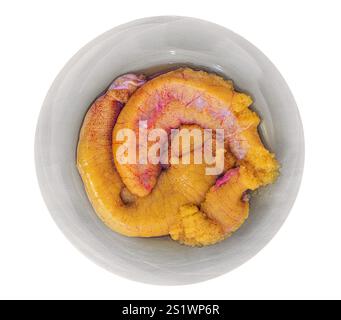 pike fish fresh caviar on dish, isolated on white Stock Photo