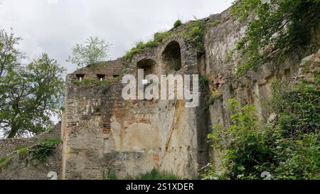 Ancient Stone Wall Ruins with Overgrown Vegetation in a Rural Landscape Stock Photo