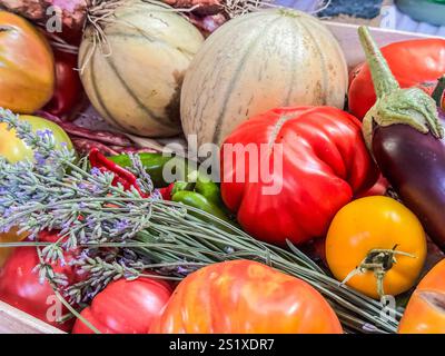 Wooden crate overflowing with fresh, colorful vegetables from the garden, including heirloom tomatoes, melon, peppers, eggplant, and lavender Stock Photo