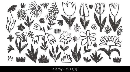 Hand drawn line stroke flowers and leaves set. Charcoal line tulip, daisy doodle monochrome. Floral outline brush chamomile and marguerite kids chalk Stock Vector