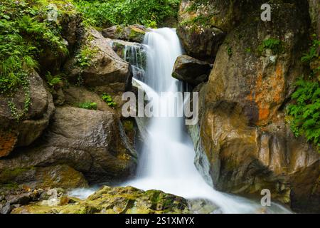 Long exposure shot of the little waterfall in the forest. Motion blur of the little waterfall. Stock Photo