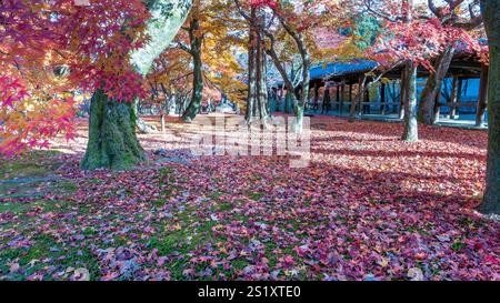 A stunning carpet of red and orange maple leaves covers the ground at Tofuku-ji Temple. A serene autumn scene. Kyoto, Japan. Stock Photo