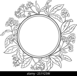 Allspice Branch Outline Circular Frame Stock Vector