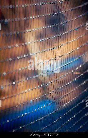 Abstract background with mesh texture and dew drops. Stock Photo