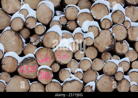 Woodpile in a forest in winter, Märzenbecher path, between Reblin and Valbert, Meinerzhagen, Nordhelle, Ebbe Mountain Nature Park, Sauerland, North Rh Stock Photo