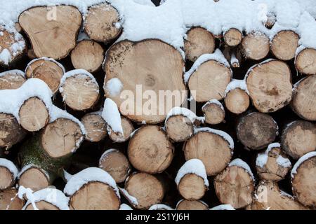 Woodpile in a forest in winter, Märzenbecher path, between Reblin and Valbert, Meinerzhagen, Nordhelle, Ebbe Mountain Nature Park, Sauerland, North Rh Stock Photo