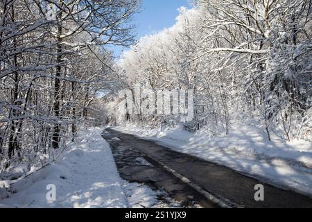 A Forest path near the road L707 in winter, Märzenbecher path, between Reblin and Valbert, Meinerzhagen, Nordhelle, Ebbe Mountain Nature Park, Sauerla Stock Photo