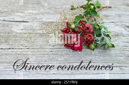 Condolence card with dark red chrysanthemums and English text: Sincere condolences Stock Photo