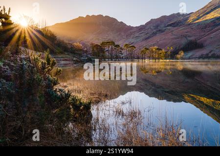Perfect reflections of the famous Scots Pines, backlit by the sun rising over the mountains at the head of Buttermere lake on a crisp & frosty morning Stock Photo