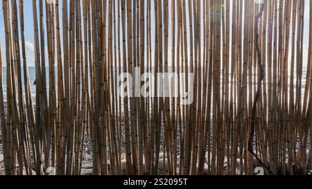 Close-up of a bamboo fence with sunlight filtering through, revealing a glimpse of the sea and sky in the background. Stock Photo