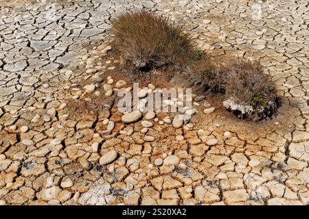 Dried mud in salt flats, Goury, Normandy, France Stock Photo