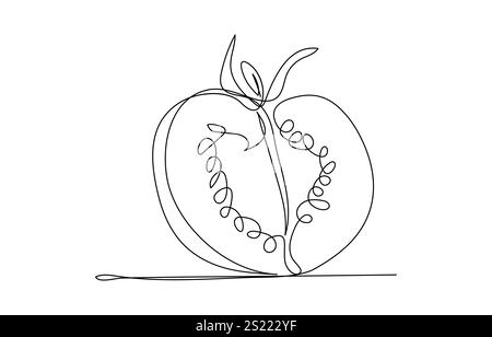 Continuous one line tomato for grocery store printing on posters and banners Linear style Vector Stock Vector