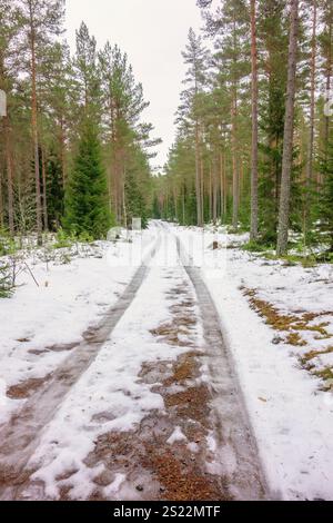 Tire tracks in the snow on a dirt road boreal forest Stock Photo