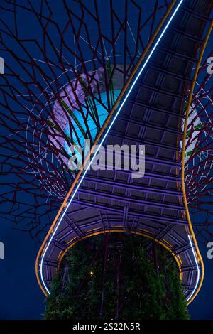 Low angle view of the futuristic supertree grove illuminated at night, showcasing vibrant colors and intricate design Stock Photo