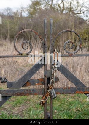 Ornate rusting metal gate secured by a padlock and chain, UK Stock Photo