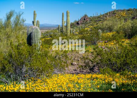 An overlooking view of Picacho Peak SP, Arizona Stock Photo