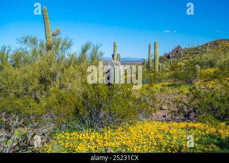 An overlooking view of Picacho Peak SP, Arizona Stock Photo