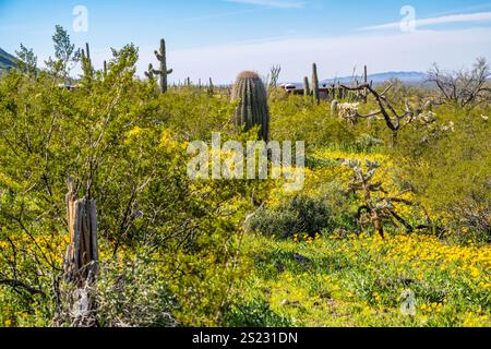 An overlooking view of Picacho Peak SP, Arizona Stock Photo