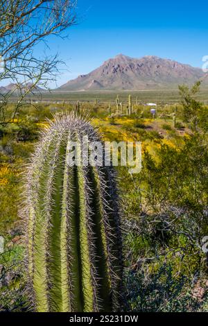 An overlooking view of Picacho Peak SP, Arizona Stock Photo