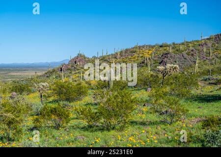 An overlooking view of Picacho Peak SP, Arizona Stock Photo