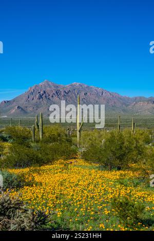 An overlooking view of Picacho Peak SP, Arizona Stock Photo