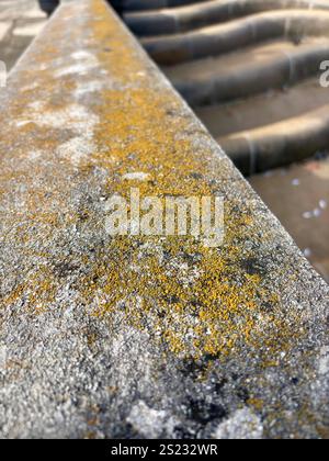 Close-up of lichen-covered stone railing with blurred background Stock Photo