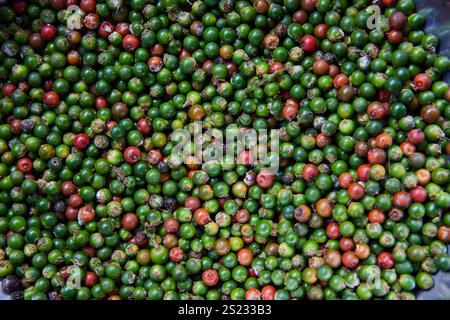 Full frame shot of ripe and unripe peppercorn Stock Photo