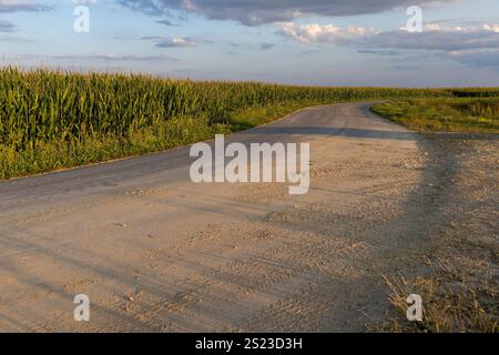 curve paved road in the summer at sunset, a country road for transport along the roadsides there are fields Stock Photo